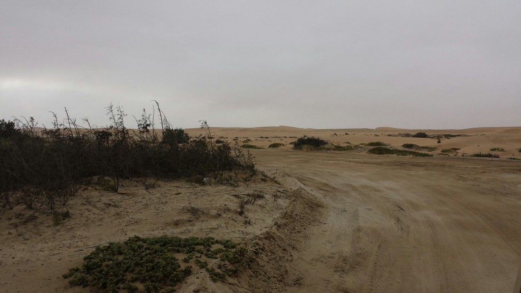 20140121_081134_resized_1