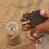 20140121_093840_resized_1