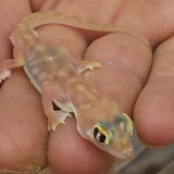 20140121_100345_resized_1