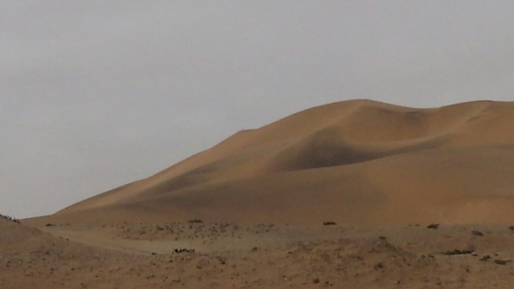 20140121_102346_resized_1