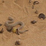 20140121_103532_resized_1