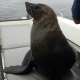 20140123_091133_resized