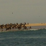 20140123_110646_resized