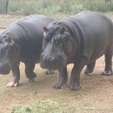 20140125_171133_resized_2