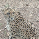 20140125_174801_resized_2