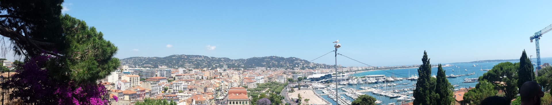 Cannes1 (Large)
