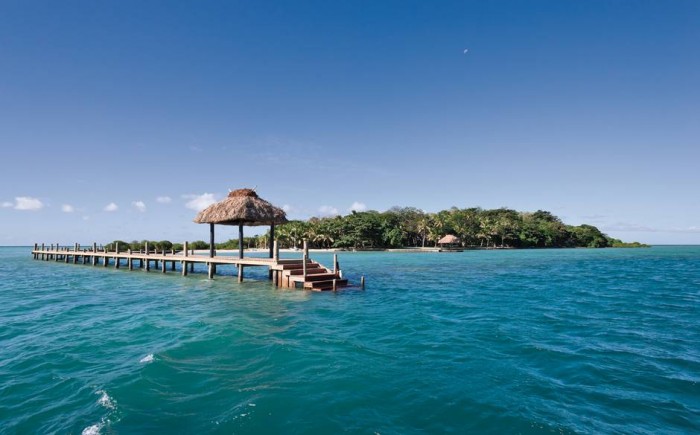 Picture: Dolphin Island Dolphin+Island+Fiji