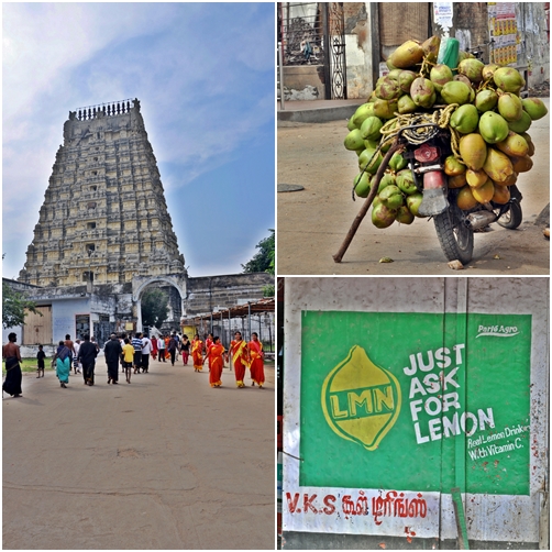 Foto: Laura Postelnicu