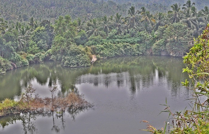 Foto: Laura Postelnicu