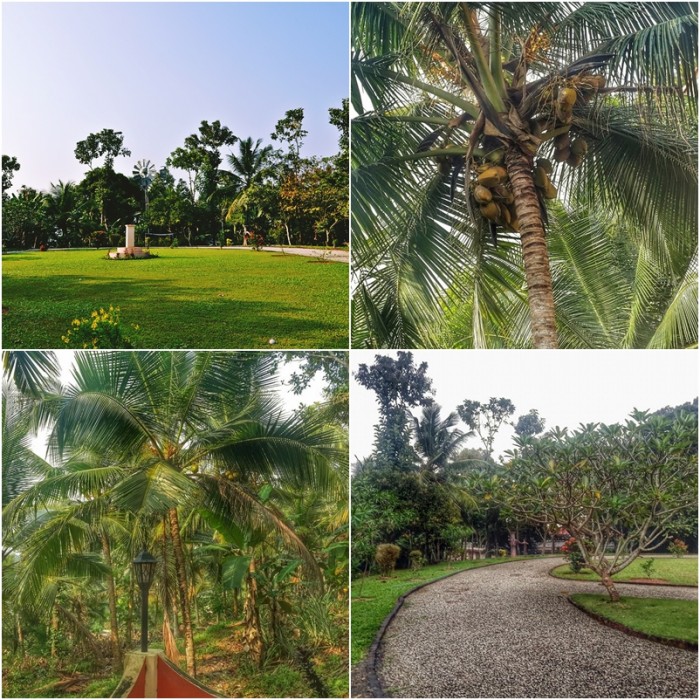 Foto: Laura Postelnicu